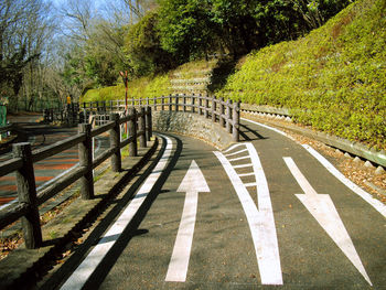 High angle view of road amidst trees