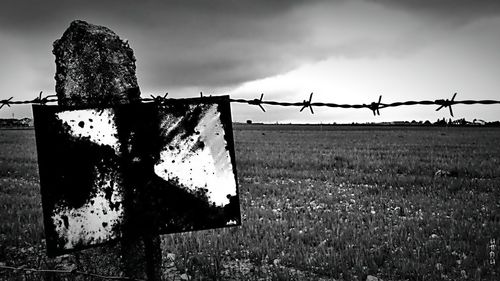 Barbed wire fence on grassy field