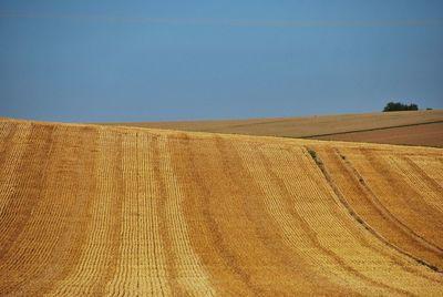 Scenic view of field against clear blue sky