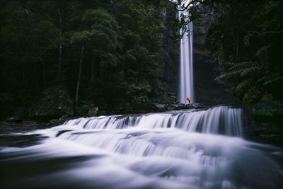 Long exposure image of waterfall in forest