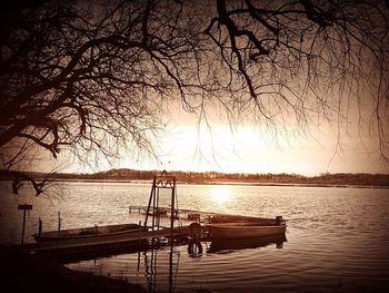 Reflection of trees in calm lake