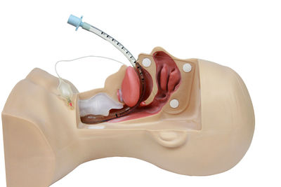 Close-up of ice cream over white background