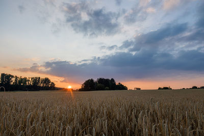 Scenic view of field against sky during sunset