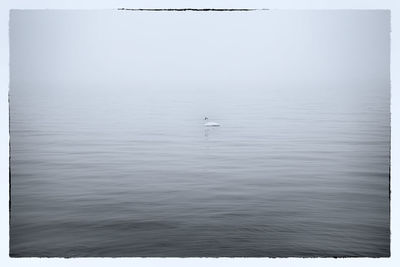 Scenic view of sea