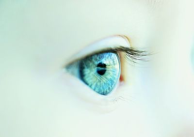 Extreme close-up of blue eye