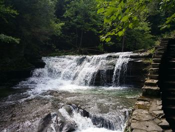 Close-up of waterfall against trees
