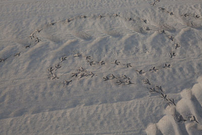 High angle view of footprints on sand