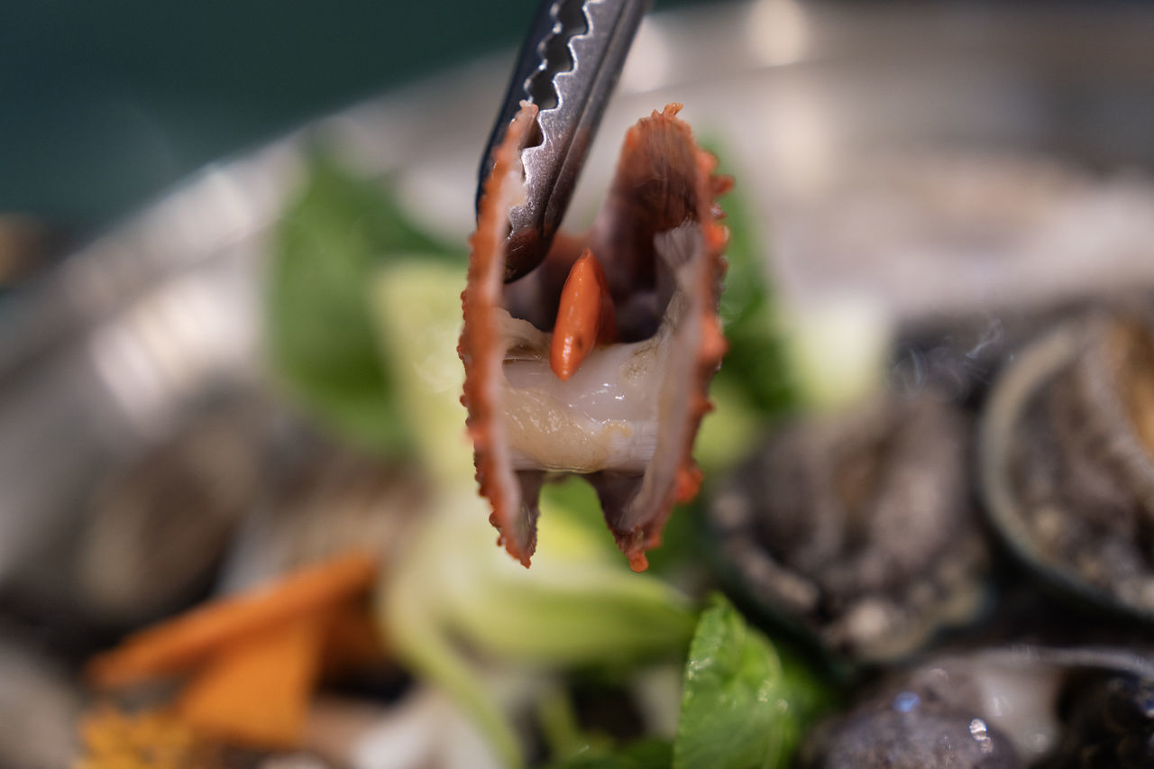 food, food and drink, close-up, no people, freshness, animal, healthy eating, nature, macro photography, selective focus, vegetable, outdoors, produce, seafood, day, leaf, meat, focus on foreground, animal themes, wellbeing