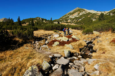 Hikers walking on field against mountain