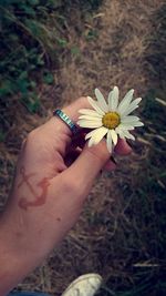 Close-up of hand holding flower