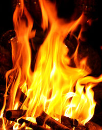 Close-up of fire in the dark