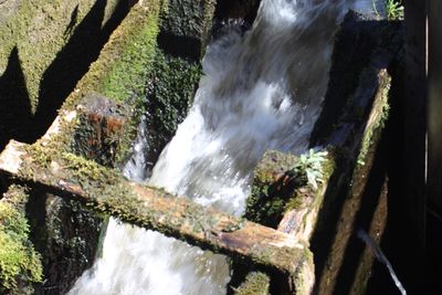 High angle view of waterfall in forest