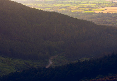 High angle view of land