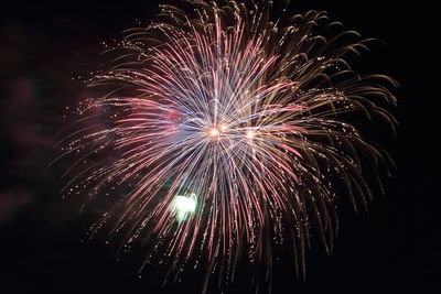 Low angle view of firework display at night