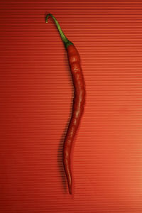 Directly above shot of red chili pepper on red table