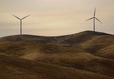 Barren hillside and hazy sky background with goats in foreground walking towards giant wind turbines 