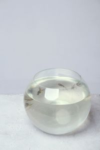 Close-up of glass of water on table