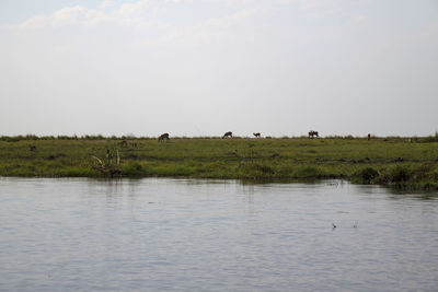 Scenic view of a lake