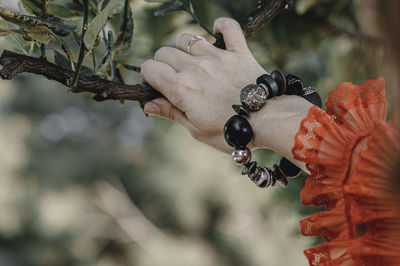 Close-up of cropped hand holding branch