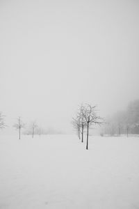 Bare tree on snow covered field against clear sky