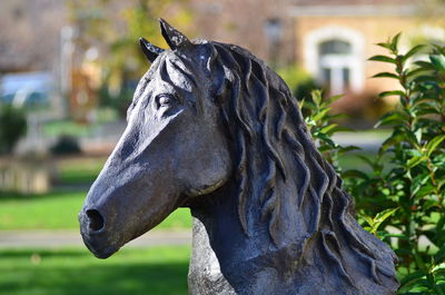 Close-up of horse statue