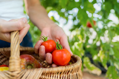 Close-up of hand holding strawberries in basket