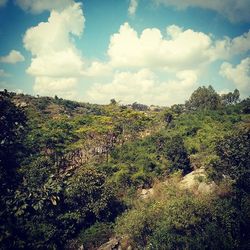 Scenic view of landscape against cloudy sky