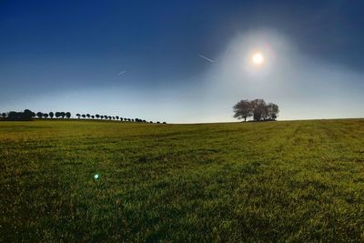 Scenic view of field against clear sky