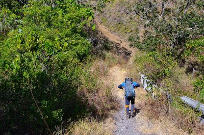 Rear view of hiker walking on mountain