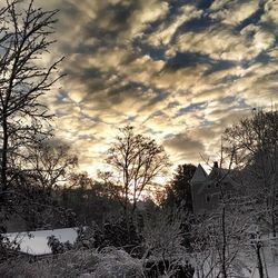 Bare trees against cloudy sky at sunset