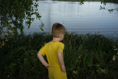 Rear view of boy on yellow plants