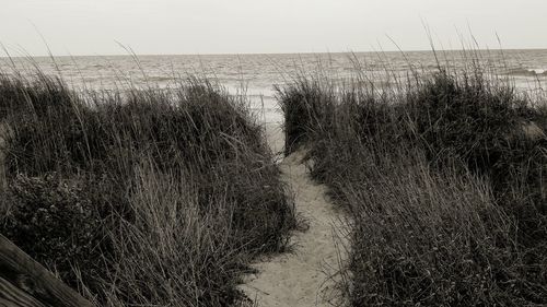 View of sea against sky