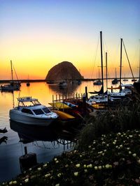 Boats moored at harbor against clear sky