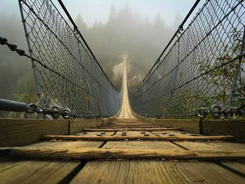 Rope bridge at forest