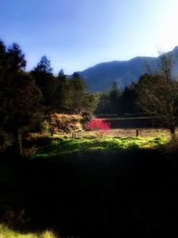 Scenic view of land and trees against sky