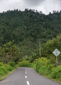 Road amidst trees against sky