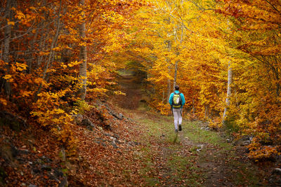 Woman walking down a path in a beautiful autumn forest