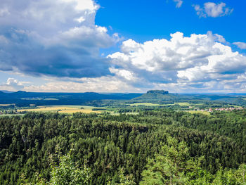 High angle view of trees on landscape against sky