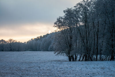 Trees on snow covered field against sky during sunset