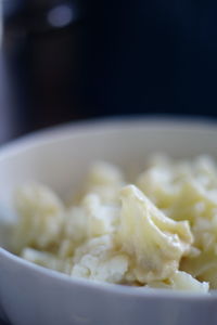 Close-up of meal served in bowl