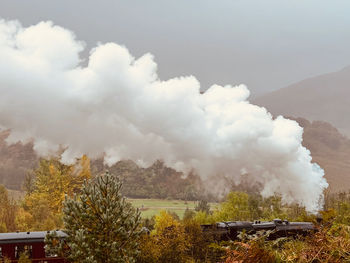 Steam engine passing through woodlands