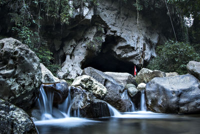 Scenic view of waterfall in forest