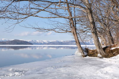 Bare trees by lake against sky during winter