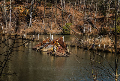 Scenic view of lake in forest