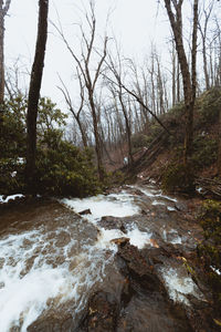 Stream flowing through forest in winter