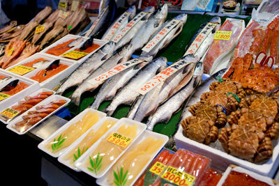 High angle view of fish for sale in market