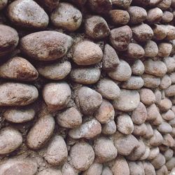 Full frame shot of pebbles