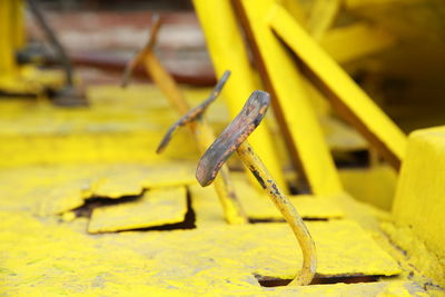 Close-up of yellow pipe on wood