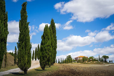 Winery tuscany 