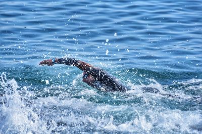 View of turtle swimming in sea